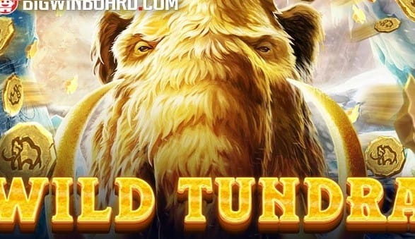 Wild Tundra